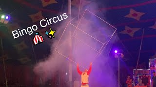 Experience the Magic of Bingo Circus 🎪✨