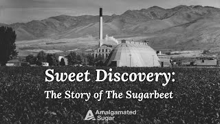 Sweet Discovery: The Story of the Sugarbeet (1966)