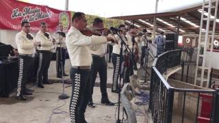 La vaquilla - Mariachi Vargas de Tecalitlán 05 de febrero 2017 Lienzo Charro Hermanos Ramírez