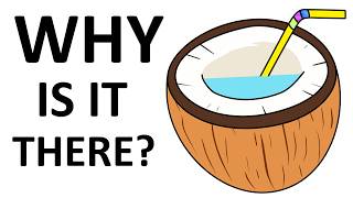 Why do Coconuts Have Water Inside?