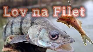 Lov na Filet z Rybky/Lov Dravých rýb/Lov na Rieke/