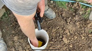 Pasture Water Point Install | Multi-Species Rotational Grazing | St Croix Sheep | Red Devon Cattle