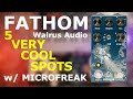 5 Very deep spots on the Walrus Fathom w/ Arturia's MicroFreak