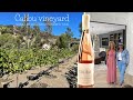 Calibu Vineyard: Wine and Design Experience Tour: Part 1