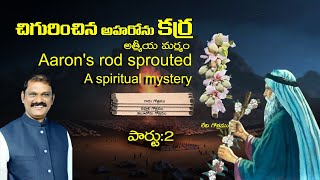 చిగురించిన అహరోను చేతి కర్ర ||  A budding Aaron's rod is a spiritual mystery || Part -2