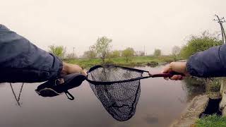 Отличный подсак на форель. Обзор. #fishing #fish #viral #viralvideo #shorts #trout