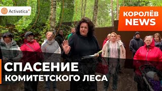 В Королёве прошел народный сход в защиту Комитетского леса