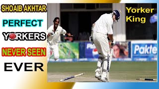 Shoaib Akhtar perfect Yorkers to world famous cricketer | killing yorker