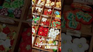 浅草合羽橋通り散策!!!ASAKUSA JAPAN🇯🇵KAWAII !!! #vlog #japan #asakusa