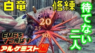 【DDON】EM6またずに白竜修練５【アルケミスト】