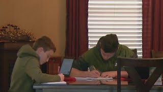 Sylvan tips for online learning