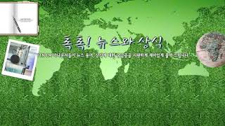 [톡톡] 사회적 참사법 - 11/30(목) 톡톡.../ YTN 라디오