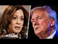 Trump is 'not the one' to lecture people of color on how to vote: Harris campaign advisor