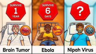 Comparison: How Fast This DISEASES Can Kill You