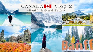 ここは天国？カナダ🇨🇦モレーン湖へ行く方法！人生で一度はみたいバンフ絶景ドライブ｜Banff National Park｜Canadian Rockies Driving