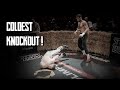 The Most Brutal KO and Fights of Bare-Knuckle Boxing TOP DOG 30 ! (HIGHLIGHTS)