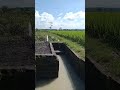 cara💯pengeringan air sawah manual vs alami👍hebat mana?...