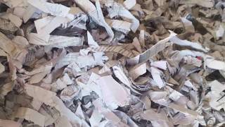 Bulk Paper Shredder | Cross Cut 2 Shaft Paper Shredding Machine #industrialshredder #papershredder