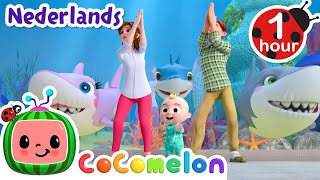 Baby haai doedoe | CoComelon Nederlands - Kinderliedjes