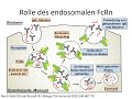 Teil 26: Defekt des ß2-Mikroglobulins