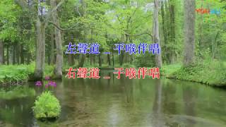 粵曲 _ 琴挑誤之《審寃》_ 平喉(左聲道)  / 子喉(右聲道)伴唱