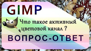 56. Что такое активный цветовой канал в GIMP.