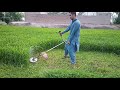 Grass cutting very fast by grass cutter||brush cutter +918950084431 (भारत/India)