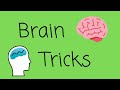 Brain tricks-How the Brain Works