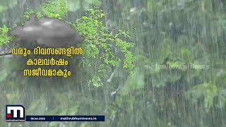 കാലവർഷം ഒരാഴ്ച പിന്നിടുമ്പോൾ കേരളത്തിൽ 48% മഴ കുറവ് | Monsoon | Kerala | Rain |  Mathrubhumi News