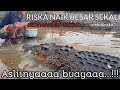 asli nya buaya..riska naik besar sekali,takjub banget !! tame crocodile