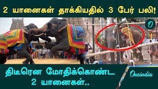 Kerala Kozhikode-ல் Elephants தாக்கியதில் 3 பேர் பலி | Oneindia Tamil