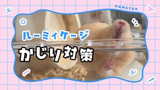 【ルーミィ】ケージ噛み防止！かじり対策してみた