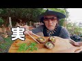 バーベキューインストラクターが教える本格的椎茸焼き　authentic shiitake mushroom grilled by a barbecue instructor