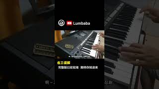 电子琴闽南语经典老歌演奏  《再三误解》Cover By  LumBaBa