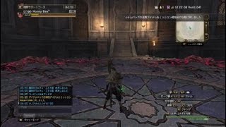 【DDON】黒騎士　シカソロ　４分１９秒【TA練習】