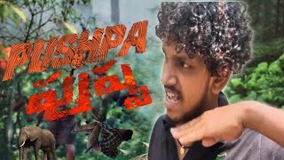 Pushpa jangal Fight Scene | Allu Arjun | Pushpa Movie 👌|