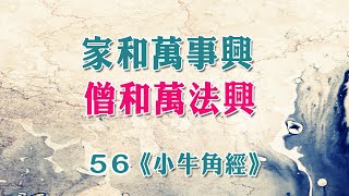 巴利藏原始佛教經典中部56-修養與本性不好的人,較易起瞋恨心.好計較.無容忍心,無法用善意善心對待其他出家眾,縱使導師怎麼教育她也沒有用。《小牛角經》