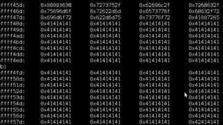 Shellcode