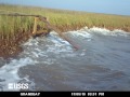 Rapid salt-marsh erosion in Grand Bay, Mississippi