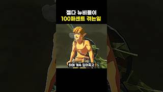 젤다야숨 뉴비들이 100퍼센트 겪는 일