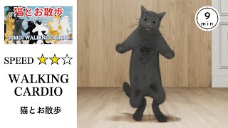 おうちで歩こう🐾【猫とお散歩😸20分ウォーキング有酸素ダンス🐾 #2】