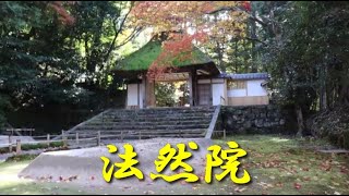 法然院の紅葉2022年11月28日＃哲学の道の猫＃古都の猫＃京都紅葉＃法然院