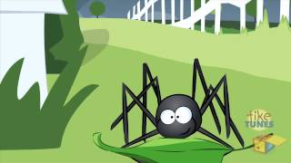 L'araignée Gypsie (Itsy Bitsy Spider en français)