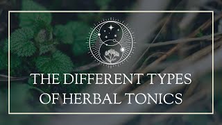 The Different Types of Herbal Tonics