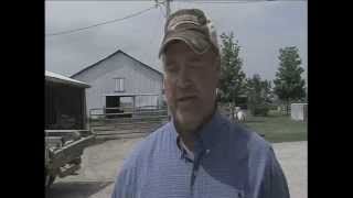 Callaway residents consider legal action over pig farm