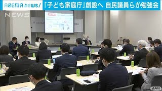 縦割り行政解消へ「子ども家庭庁」自民若手が勉強会(2021年2月2日)