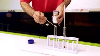 CTSC practical experiment: Endothermic \u0026 exothermic reactions