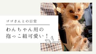 【お出掛けにおすすめ】ゴゴさんに抱っこ紐買ったら革命的だった！！