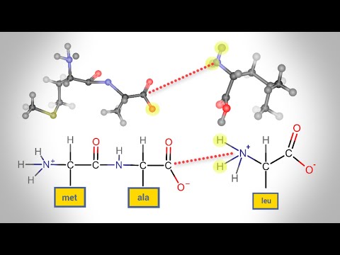 What does it mean for a bond to be planar?