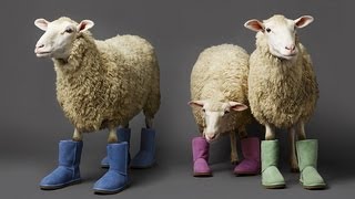 The Truth about UGGS.